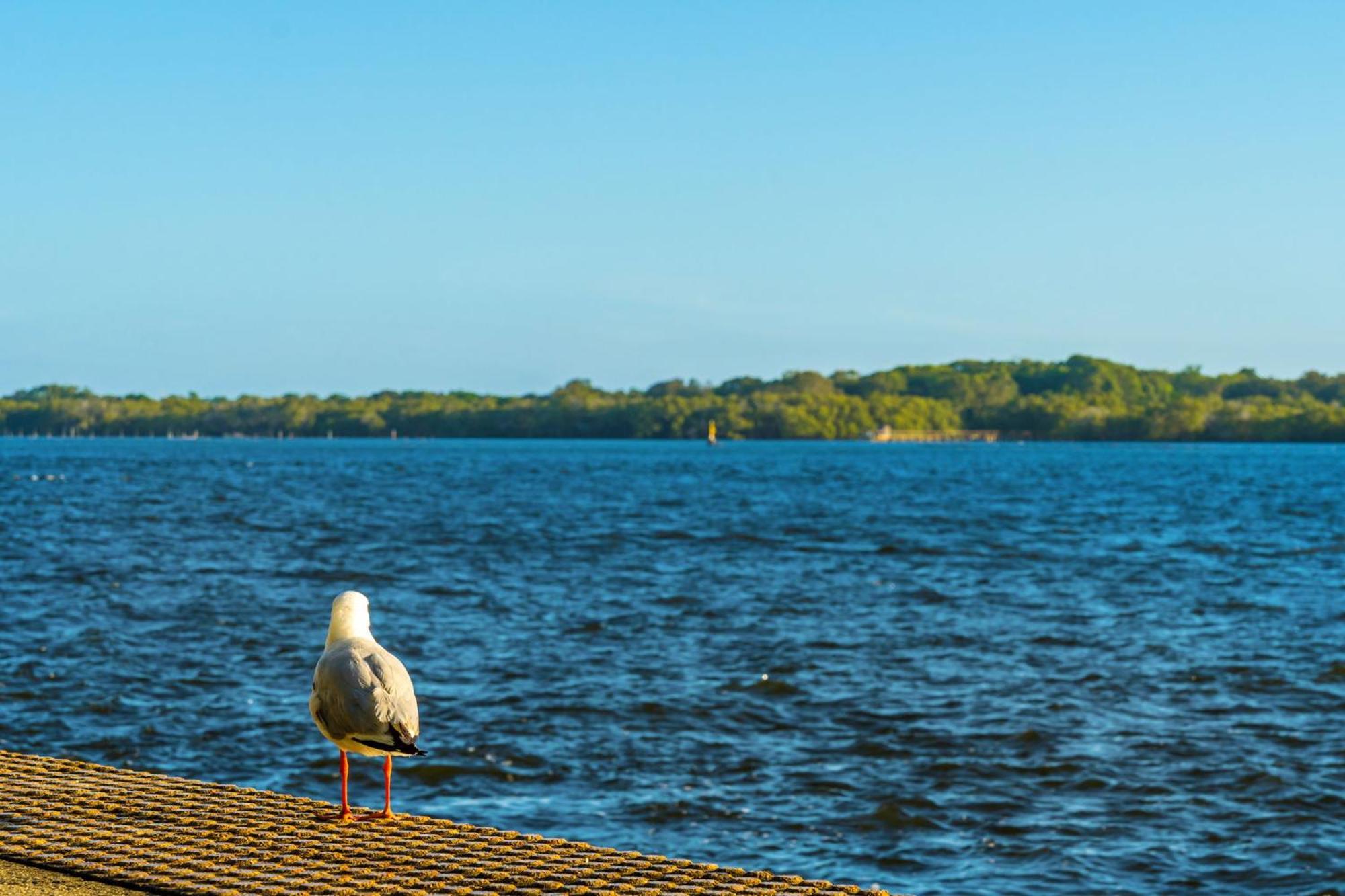 Riverside Holiday Apartments Ballina Eksteriør bilde